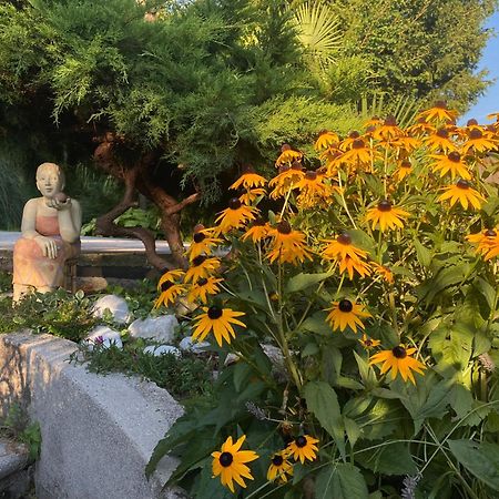 Villa Rosa Friuli Anduins Exteriér fotografie